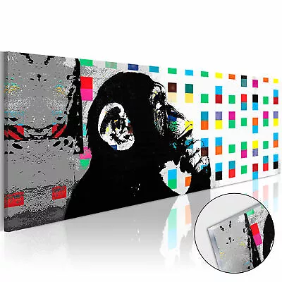 Acrylic Glass Print Image Wall Art Picture Photo Monkey Banksy G-B-0031-k-a • $109.99