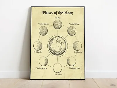 Vintage Moon Phases Chart Canvas Print Stars Space Sun Moon Wall Art • $20.99