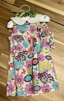 Vera Bradley Dress And Bloomers FLUTTERBY 6-9 Months Butterfly Flowers EUC • $15