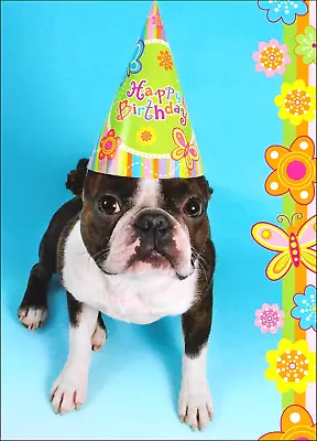 Boston Terrier Birthday Card  ~ Live It Up And Enjoy The Day ~ Happy Birthday • $3.50