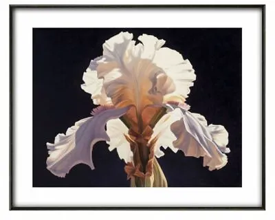 Ed Mell 'Iris' Fine Art Print Various Sizes • $41.62