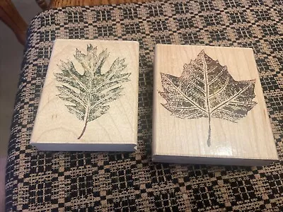 Rubber Stampede A2488F Oak And A2494H  Maple Tree Stamp • $9.95