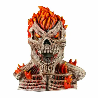 Cosplay Superhero Ghost Rider Mask Skull Flame Mask Halloween Masquerade Props • $28.59