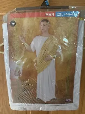 Hail Caesar Mens Size 2XL XXL 44-46 Costume Greek Toga Roman King New • $23.16