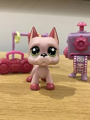 Littlest Pet Shop - LPS #2583 - AUTHENTIC Pink Great Dane Dog Figure • $30