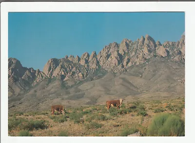 $2.49 • Buy Vintage Postcard (1301) - ORGAN MOUNTAINS - LAS CRUCES, NEW MEXICO -