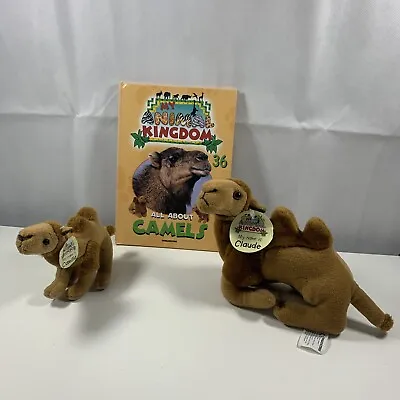 My Animal Kingdom: All About Camels 2 Toys Hardcover Book Incl. • £13.99