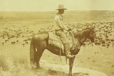 A Texas Cowboy Vintage Texas Photography Giclee Art Print + Ships Free • $39