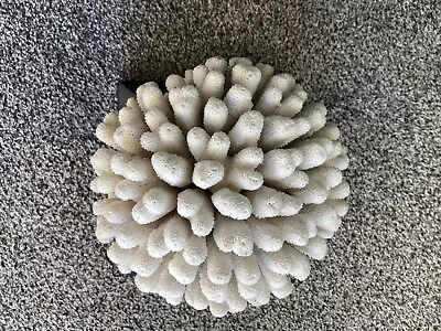 Natural Coral Sea White Coral On Wood Base Beautiful Piece 11.4 Pounds 8” Round • $45