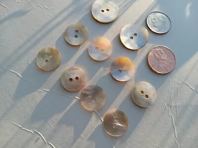 10 Vintage Abalone Sea Shell Buttons • $12