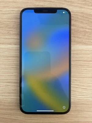 $300 • Buy Apple IPhone 12 Pro Max - 256GB - Graphite (Unlocked) (Damaged)