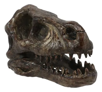 Faux Taxidermy Replica Velociraptor Dinosaur Head Fossil Small Skull Figurine • $37.99