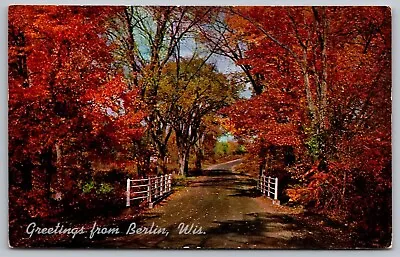 £8.85 • Buy Greetings Berlin Wisconsin Scenic Country Roadway Autumn Foliage Chrome Postcard