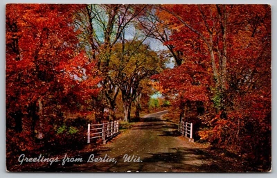 £8.85 • Buy Greetings Berlin Wisconsin Scenic Country Roadway Autumn Foliage Chrome Postcard