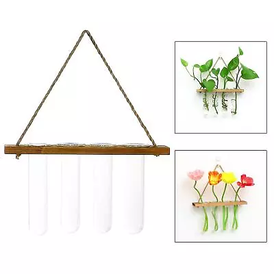 Wall Hanging Plant Propagation Station Glass Planter Test Tube Vase With Wooden • £15.19