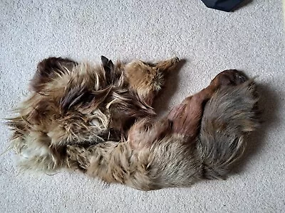 £20 • Buy 1940s Fox Fur