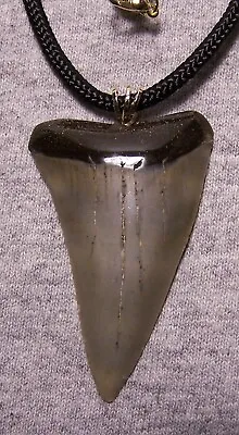 MAKO Shark Tooth Necklace 2 1/4  Fossil Jaw BIG Teeth Pendant Megalodon Diver • $49