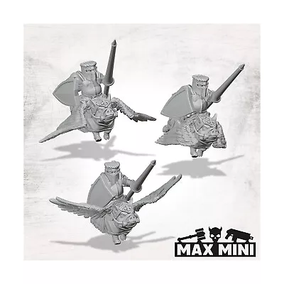 Maxmini Fantasy Mini 28mm Pigasus Knights Pack New • $20.95