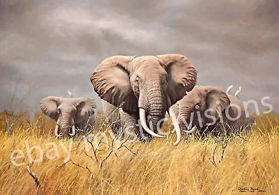 Charles Frace POWER OF THE SERENGETI Signed & Numbered W/coa Elephant Art Print • $99.99