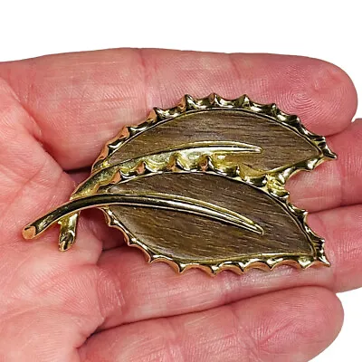 Sarah Coventry Gold Tone Wood Grain Leaf Leaves Brooch Pin Vintage 1968 • $8