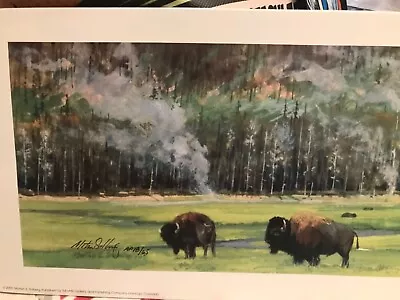 Morten Solberg Rare Buffalo A/p “beside Still Waters” Limited Edition Lithograph • $85