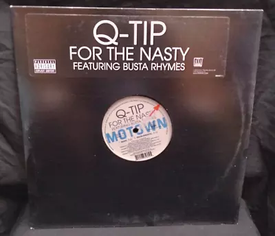 Q-tip Featuring Busta Rhymes: For The Nasty Record • $6