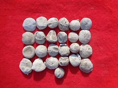 25 Civil War Confederate Round Musket Balls Canister Artillery Antietam MD. #2 • $24