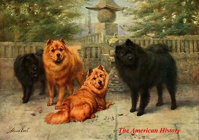 3435 Earl Maud (1864-1943) - 1911 New Book Of The Dog - Chow-chows • $37.20