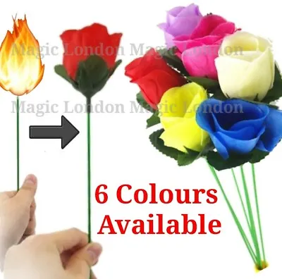 Flame To Rose Torch To Rose Fire To Rose Flame To Flower Fire Torch To Flower  • £4.99