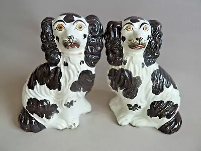 Antique Pair Of Staffordshire King Charles Spaniels Mantle/Wally Dogs (8  H). • £70