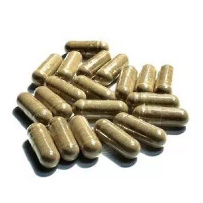 Wild Lettuce 4:1 Extract 500mg X 30 VEGGIE Capsules Ships Fast From Aust  • $24.99