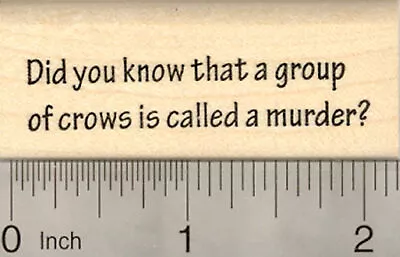 Murder Of Crows Rubber Stamp Saying Or Text D22714 WM • $14