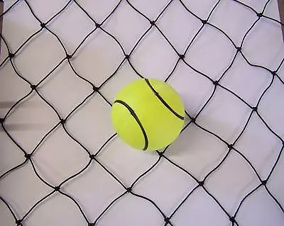 10' X 10' Baseball/Softball 1.75  Black Nylon Backstop Barrier Net 160 Lb Test • $35.78