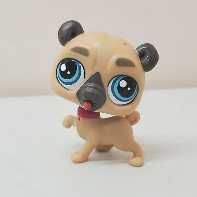 $11 • Buy Littlest Pet Shop G5 Wagger Hobbs Pug #3770 Styles To Howl About