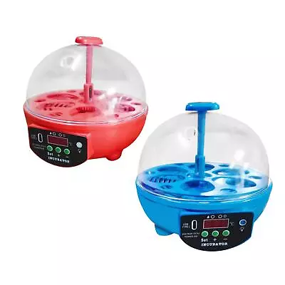 Hatching Incubator 6  Manual Small Incubator With And Temperature Control • £19.84