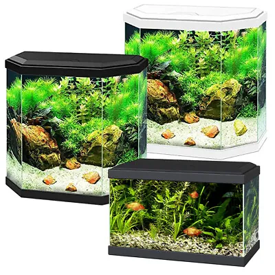 Ciano Aqua Aquarium 20 LED 30 Hex Lighting Hood Filter Beginner Fish Tank • £59.99