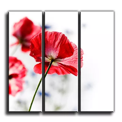 Red Flower Canvas Floral 3 Panel Wall Art Print Picture 29 PREMIUM QUALITY • £38.49