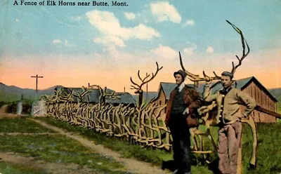 Butte MT-Montana Fence Of Elk Horns C1918 Antique Vintage Postcard • $5.35