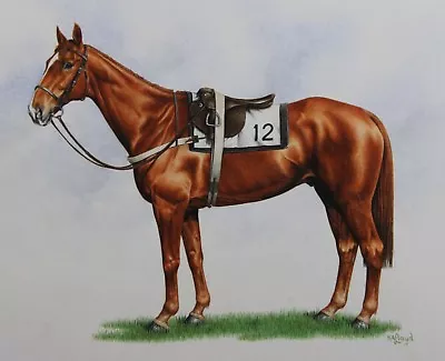 Racehorse Portrait Watercolour By K.A Lloyd • £165