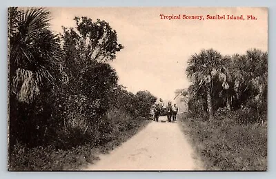 C1910 PC Dirt Road Men Horse Drawn Buggy Tropical Scenery Sanibel Island Florida • $247