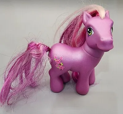 My Little Pony Cherry Blossom G3 Hasbro 00s • $11.66