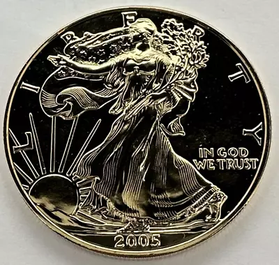 2005 Gold Gilded American Silver Eagle 1 Oz Coin (SG574) • $26