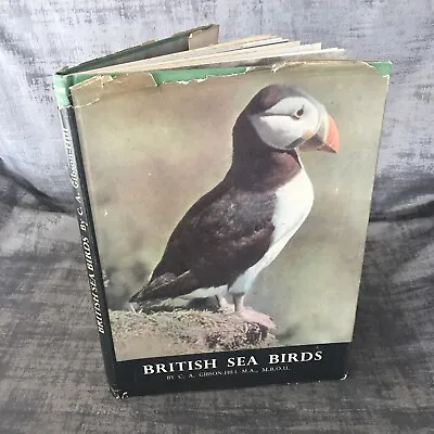 British Sea Birds By C A Gibson Hill Collins DJ HB 1947 1st Edition • £6.99