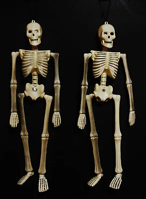 Halloween Hanging Skeletons (moveable Arms And Legs) 18 Long Set Of 2 • $9.65