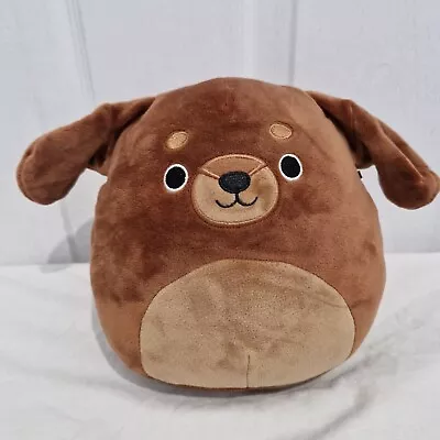 Squishmallow Flaxy The Dachshund Soft Toy Plush Brown Dog Cuddly Toy Collectable • £9.99