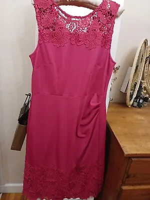 Kaleidoscope Pink Lace Dress Size 14bnwt • £12.50