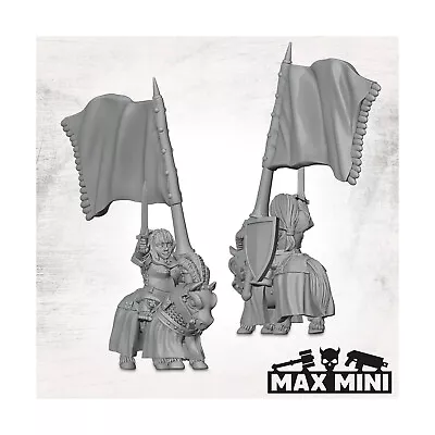 Maxmini Fantasy Mini 28mm Female Knight Hero Pack New • $12.95