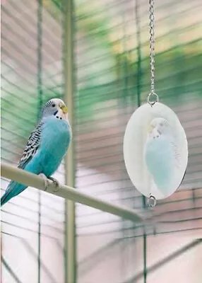 Bird Cage MIRROR Cockatiel Budgie Parrot Stainless Steel  • £4.99