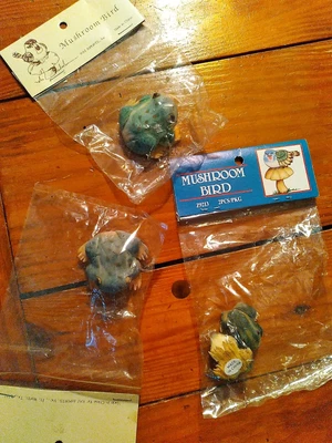 $9.99 • Buy Raz Imports- Decorative Frogs - Mushroom Bird - Brand New 