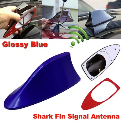 Blue Shark Fin Style Car Roof Antenna Aerial FM/AM Radio Signal Auto Decor Kit • £7.19